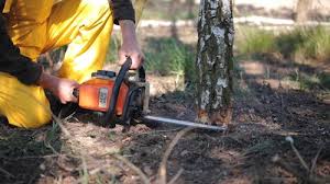 Best Lawn Mowing  in Belzoni, MS
