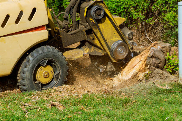 Lawn Drainage Solutions in Belzoni, MS