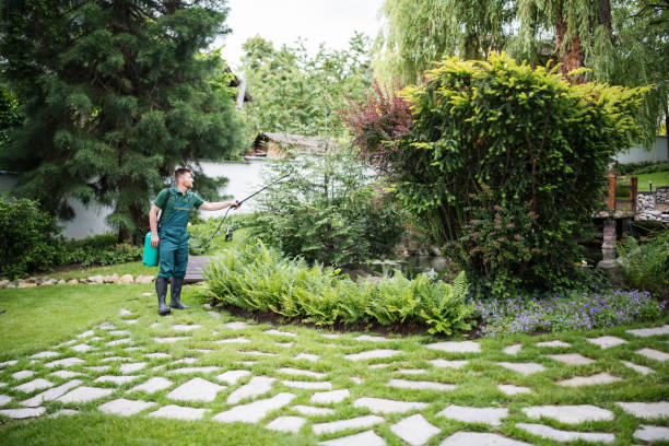 Best Arborist Consultation Services  in Belzoni, MS