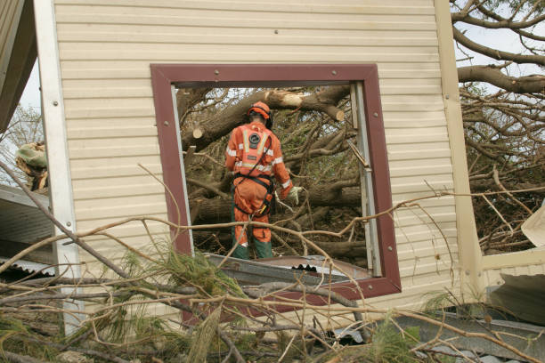 Best Hazardous Tree Removal  in Belzoni, MS